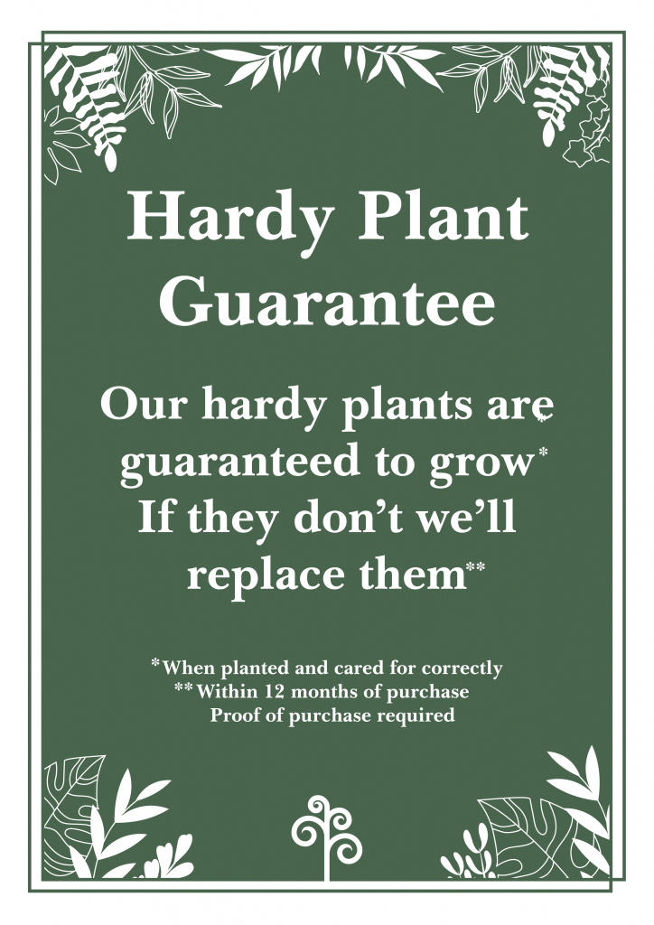 Hardy Plant Guarantee Ransoms Garden Centre