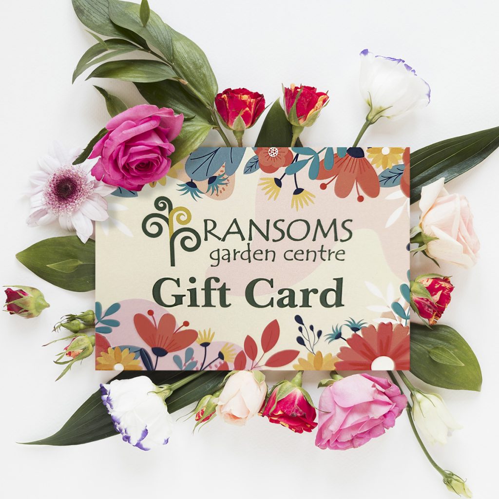 Gift Card for Ransoms Garden Centre Ransoms Garden Centre