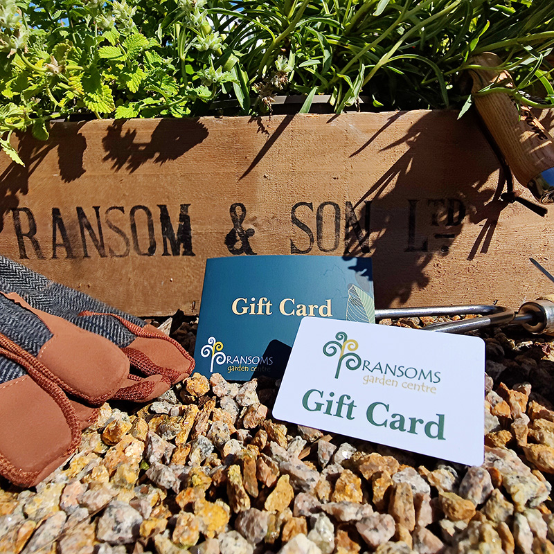 Gift Card for Ransoms Garden Centre in Jersey, Channel Islands