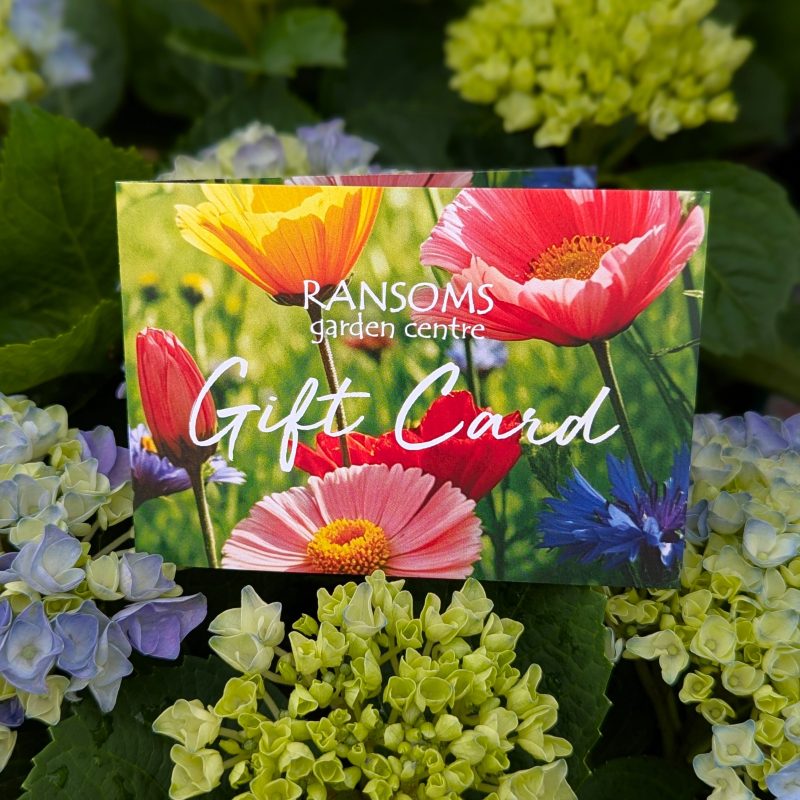 Gift Card for Ransoms Garden Centre