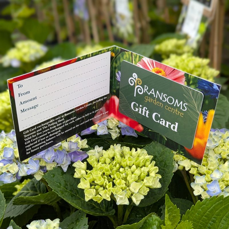 Gift Card for Ransoms Garden Centre - Image 3