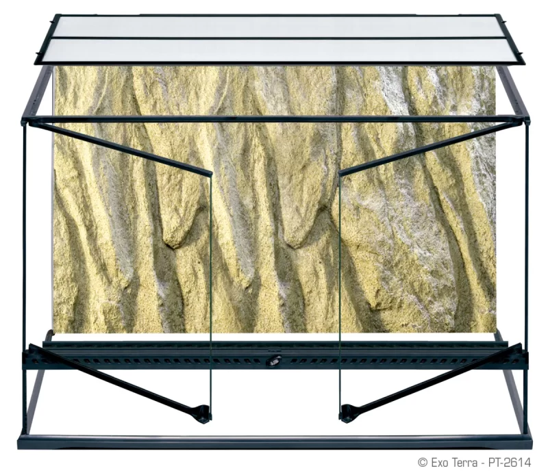 Exo Terra Glass Terrarium