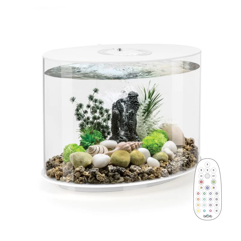 Aquarium BiOrb LOOP 30 Aquarium with Multi Colour LED light remote control - Image 2