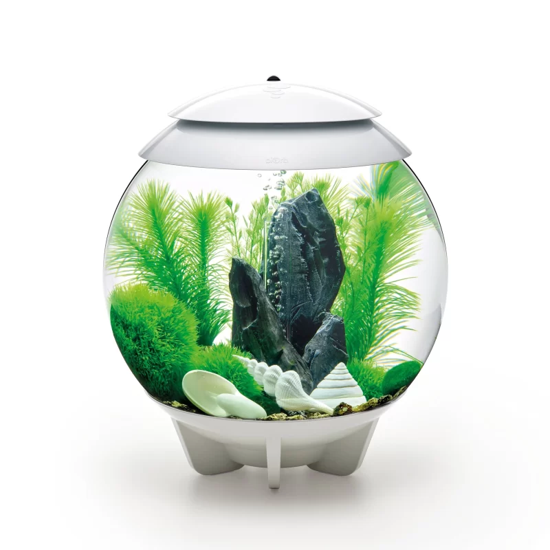 Aquarium BiOrb Stone Garden 30L Decor Set - Image 2