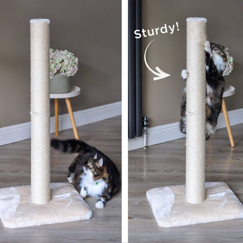 Scratch Post - Deluxe 1m - Image 2