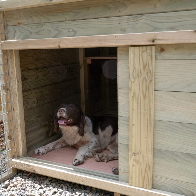 Dog Kennel & Run Large - Image 3