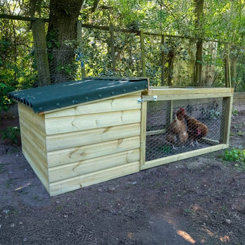 Chicken Coop and Run - Image 3