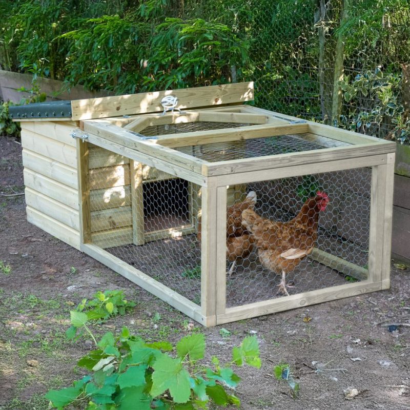 Chicken Coop and Run - Image 2