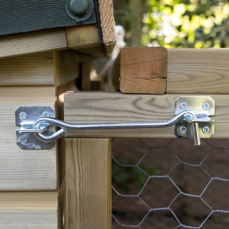 Chicken Coop and Run - Image 4
