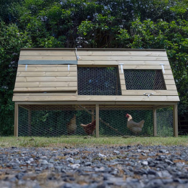 Large Raised Chicken Coop - Image 2