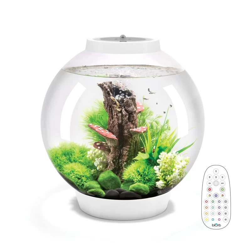 Aquarium BiOrb CLASSIC 30 with Multi Colour LED light remote control - Image 2