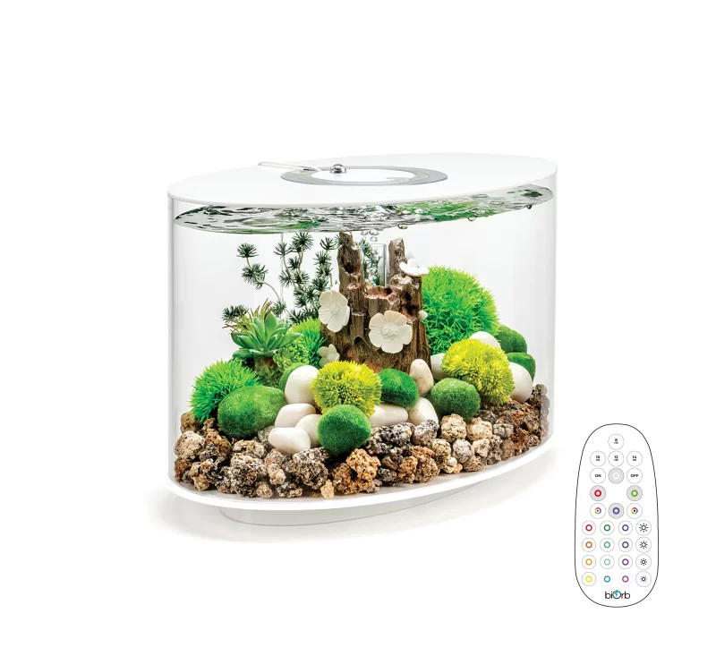 Aquarium BiOrb LOOP 15 Aquarium with Multi Colour LED light remote control - Image 2