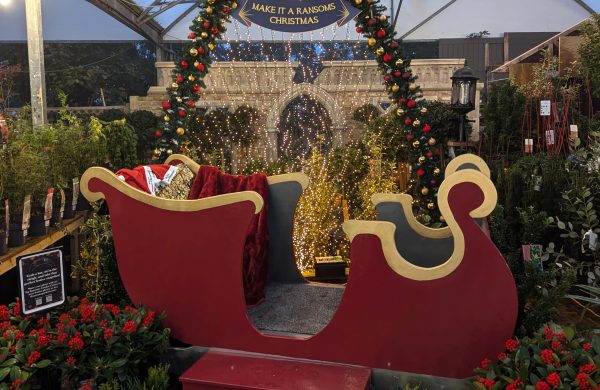 PXL_20241105_164653859